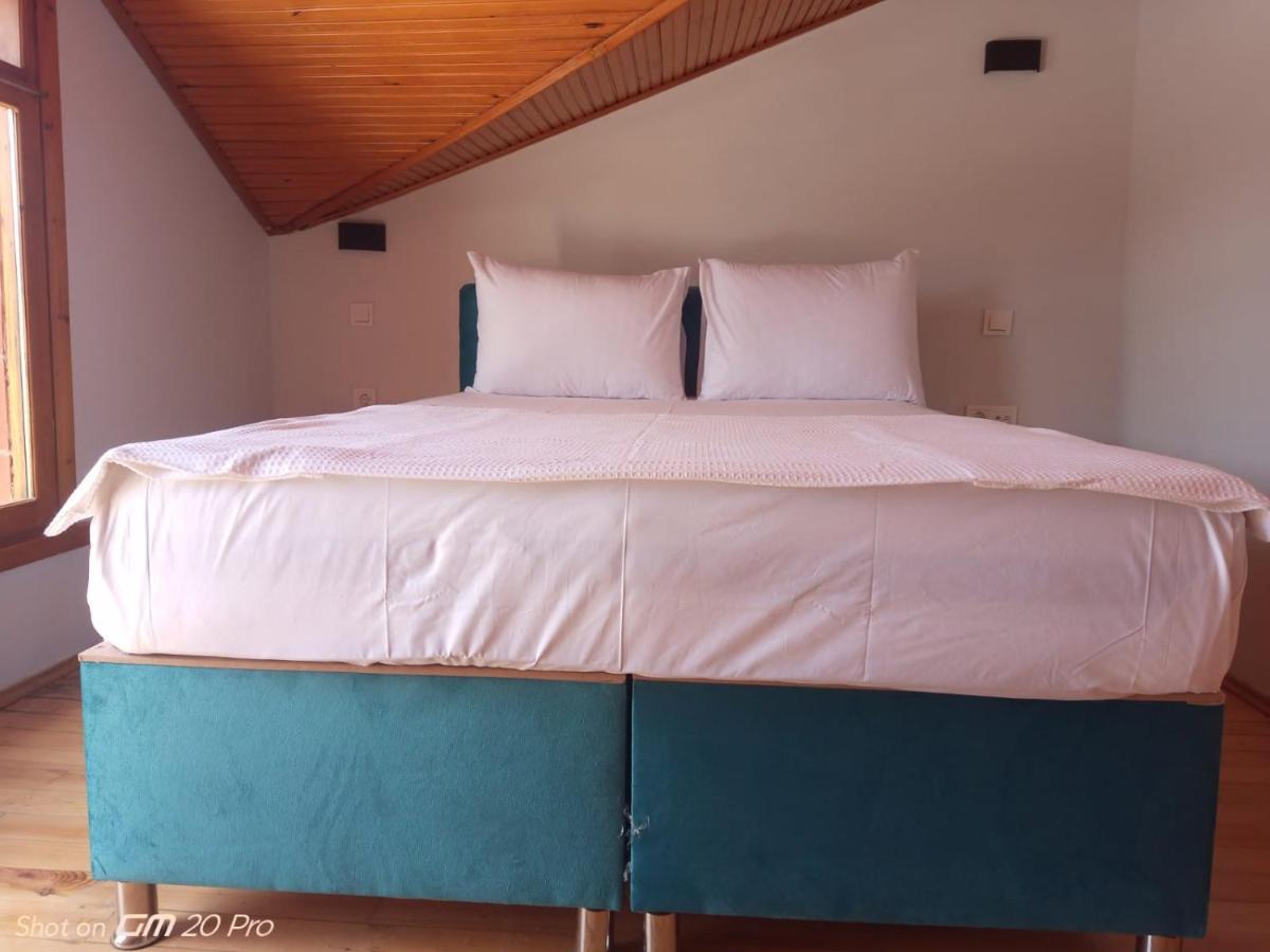 Buyukada Cinar Hotel (Adults Only) アダラー エクステリア 写真